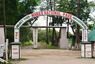 manas-national-park-reopen-for-tourist