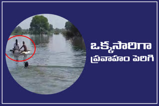 godavari river news