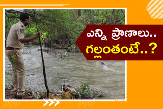 how many members died because of rains in hyderabad
