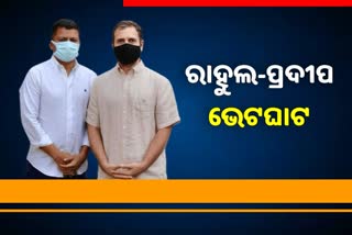 ରାହୁଲ ଗାନ୍ଧୀଙ୍କୁ ଭେଟିଲେ ପିସିସିର କାର୍ଯ୍ୟକାରୀ ସଭାପତି ପ୍ରଦୀପ ମାଝୀ