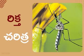 male mosquitoes news