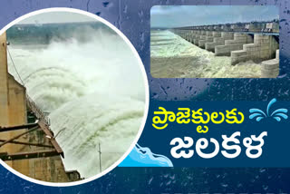 flood to Irrigation projects