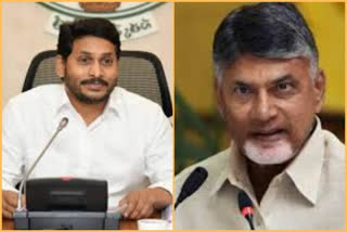 cm jagana, chandrababu