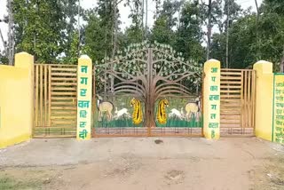 Unique Initiative of Forest Department