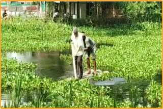 public-pond-cleaning-by_bajali_dc