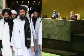 UN committee to review Taliban credential issue to meet in November