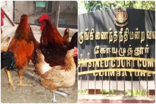 fraud-in-turkey-breeding-in-erode