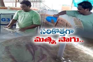 సత్యదేవ్‌రాజు, సిరి ఆక్వాఫామ్స్