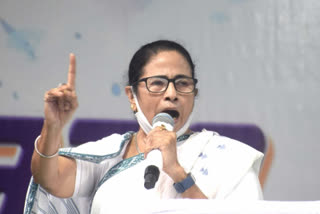 Mamta