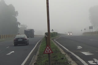 fog on amravati nagpur national highway
