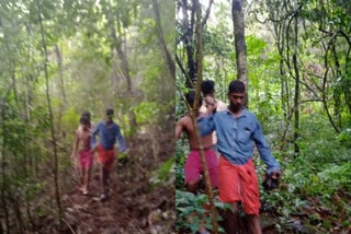 Missing child found in forest  child missing  found missing child in kasargod  കാസർകോട് വനത്തിൽ കാണാതായ കുട്ടിയെ കണ്ടെത്തി  വനത്തിൽ കാണാതായ കുട്ടിയെ കണ്ടെത്തി  കാണാതായ കുട്ടിയെ കണ്ടെത്തി