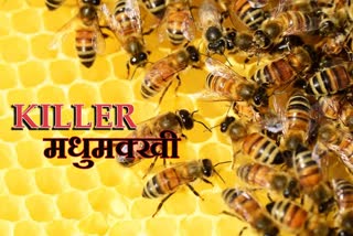 one-girl-died-due-to-bee-bite-in-giridih