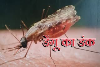 doctors-advice-to-avoid-dengue-in-ranchi