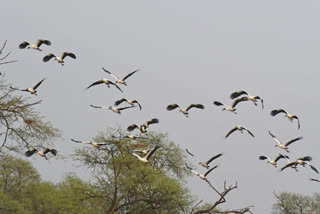 Keoladeo National Park