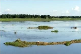 land-scam-in-karimganj