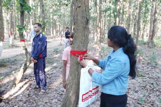 Students of Vinoba Bhave University tied rakshasutra to trees