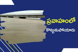two persons washed away in godavari