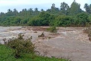 tn_erd_03_sathy_flood_vis_tn10009