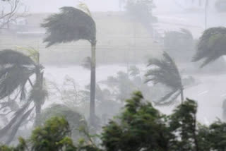 Cyclone Shaheen;ବେଙ୍ଗାଲୁରୁରେ ପ୍ରବଳ ବର୍ଷା , ଭାଙ୍ଗିଲା ଗଛ,ଘରେ ପଶିଲା ପାଣି