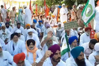 sirsa farmers protest