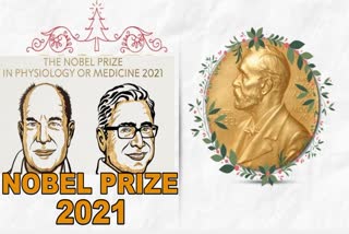 Nobel Prize ୨୦୨୧: ମେଡିସିନରେ ୨ ଜଣଙ୍କୁ ନୋବେଲ