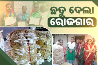 ହିଙ୍ଗୁଳା ସ୍ବୟଂ ସହାୟକ ଗୋଷ୍ଠୀଙ୍କୁ ସ୍ବାବଲମ୍ବୀ କରୁଛି ଛତୁ