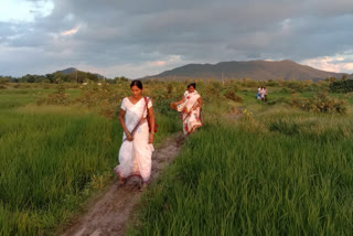 Chhakarbandha of Gaya