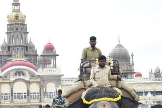 ಅರಮನೆಯ ಧ್ವನಿ ಮತ್ತು ಬೆಳಕು ಕಾರ್ಯಕ್ರಮಗಳಿಗೆ ತಾತ್ಕಾಲಿಕ ರದ್ದು