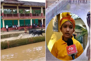 (Left) A man  taking part in Janapada sport Kambala (Right) The first girl, who took part in the sport, speaking to ETV Bharat (File photo)