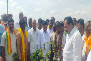 TDP team visit