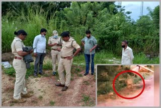 forest department Operation to detect Leopard in Mangalore