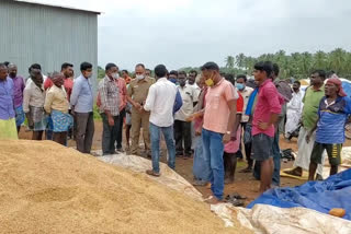 Farmers protest by pouring germinated paddy seeds on the road in Pudukkaraiputhur