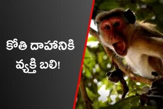 young man died because of monkey