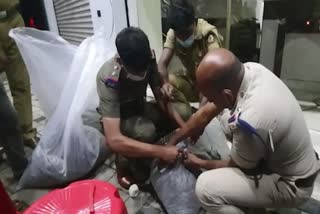 cannabis seized  Idukki cannabis seized  Thodupuzha  തൊടുപുഴ  കഞ്ചാവ് പിടികൂടി  ഇടുയിലെ മയക്കുമരുന്ന് വില്‍പ്പന  മയക്കുമരുന്ന വില്‍പ്പന