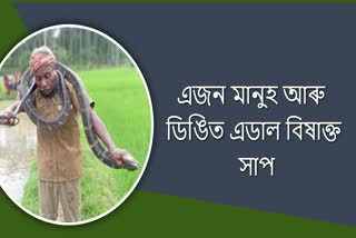 সাপৰ সৈতে খেলা কৰি অৱশেষত মৃত্যুক আকোঁৱালি ললে এজনে