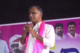 HARISH RAO