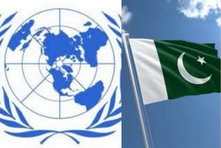 India slams Pakistan at UN