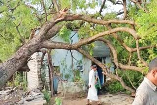 several-injured-in-house-roof-collapses-from-heavy-rain-at-yadgir