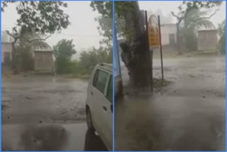 Heavy Rain: છોટાઉદેપુરમાં ભારે વરસાદ અને પવનના કારણે ખેડૂતોના પાક નમી ગયાં
