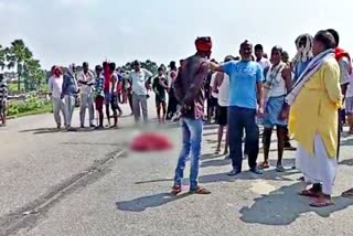 Three killed in road accident in Chhapra