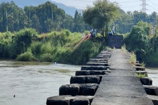 three transgender drown in  tansa creek basin