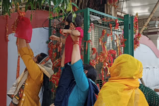 Devotees visiting in Chhatarpur temple with Corona guidelines