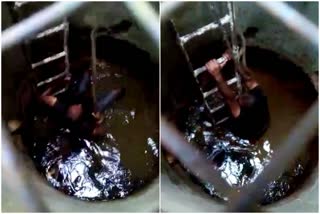 Rescuer fell into well when he go to rescue cat