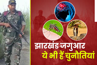 jharkhand-jaguar-jawans-troubled-by-mosquitoes-snakes-and-scorpions