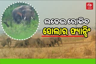 Solar fencing plans for elephant conservation