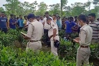 An Unindentified Body of A Woman Recover form Tea Garden in Jaypur Jalpaiguri