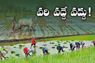 Rabi crops in Telangana