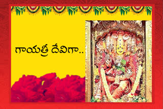 third-day-devi-navarathri-celebrations-at-vijayawada-kanakadurga-temple