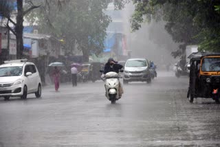 state weather update  heavy rain alert  heavy rain  weather update  കനത്ത മഴ  യെല്ലോ അലര്‍ട്ട്  കാലാവസ്ഥാ നിരീക്ഷണ കേന്ദ്രം