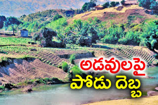 Forest conservation in Telangana